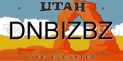 DNBIZBZ Utah License Plate