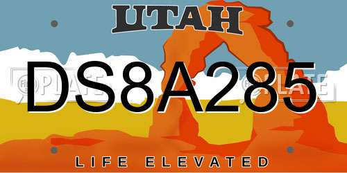 DS8A285 Utah License Plate