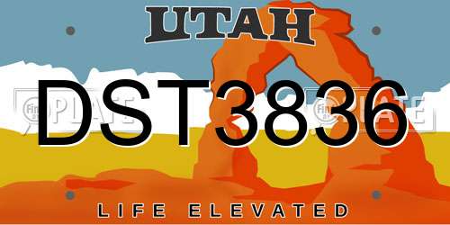 DST3836 Utah License Plate