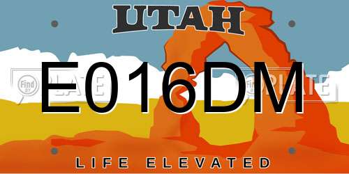E016DM Utah License Plate