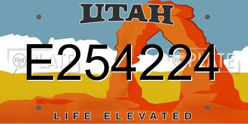 E254224 Utah License Plate