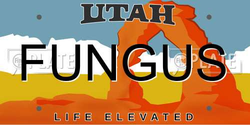FUNGUS Utah License Plate