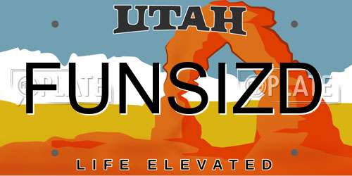 FUNSIZD Utah License Plate