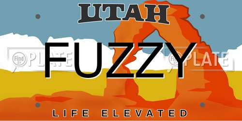 FUZZY Utah License Plate