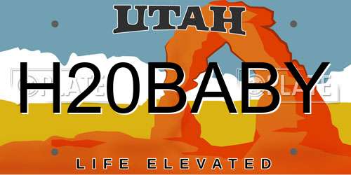 H20BABY Utah License Plate