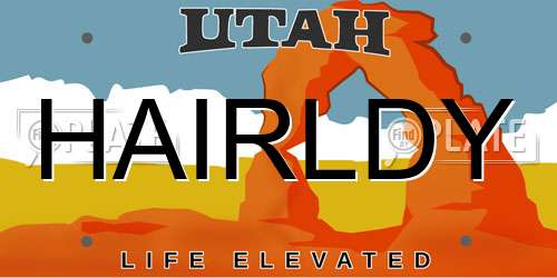 HAIRLDY Utah License Plate