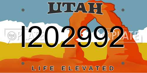 I202992 Utah License Plate