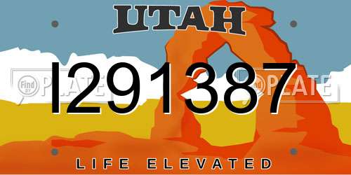 I291387 Utah License Plate