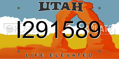 I291589 Utah License Plate