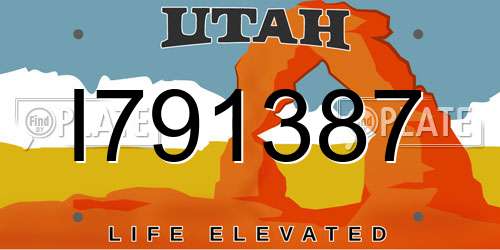 I791387 Utah License Plate