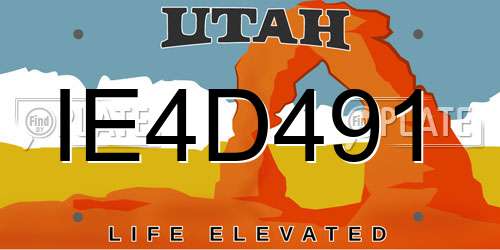IE4D491 Utah License Plate