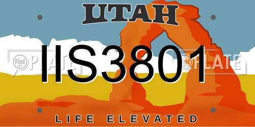IIS3801 Utah License Plate