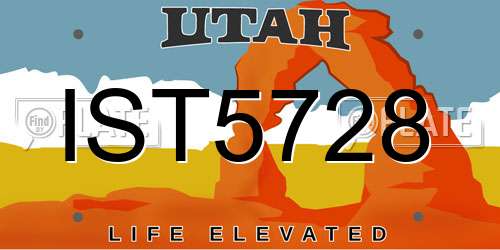 IST5728 Utah License Plate