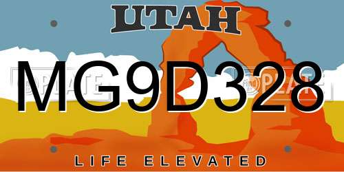MG9D328 Utah License Plate