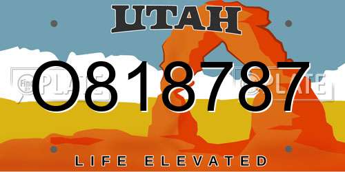 O818787 Utah License Plate