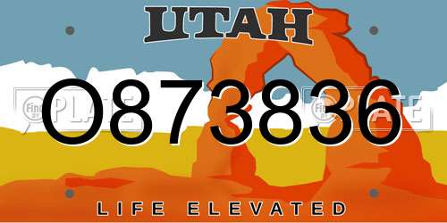 O873836 Utah License Plate