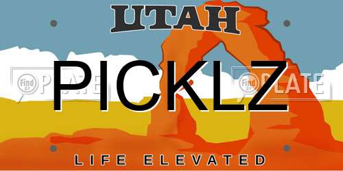 PICKLZ Utah License Plate