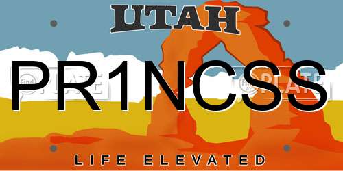 PR1NCSS Utah License Plate