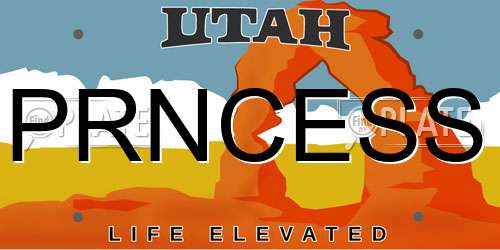 PRNCESS Utah License Plate