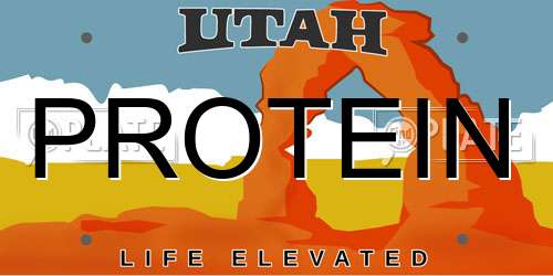 PROTEIN Utah License Plate