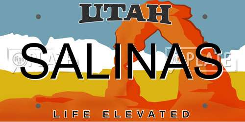 SALINAS Utah License Plate