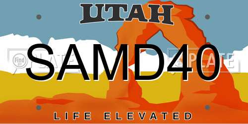 SAMD40 Utah License Plate