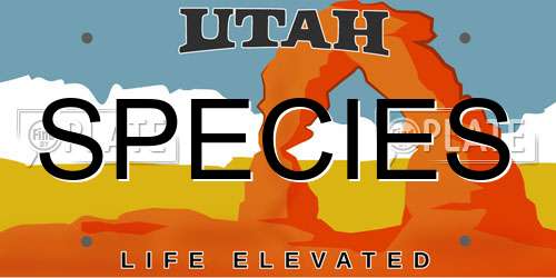 SPECIES Utah License Plate