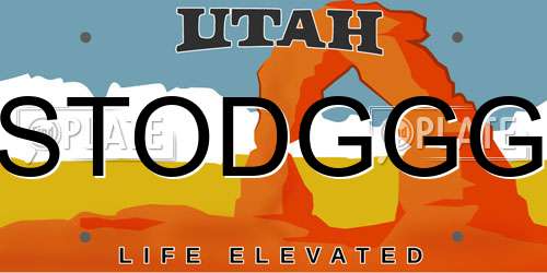 STODGGG Utah License Plate