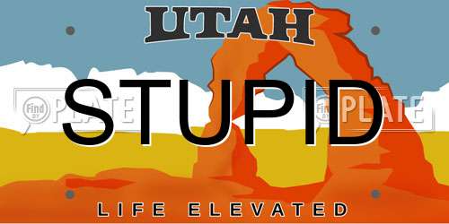 STUPID Utah License Plate