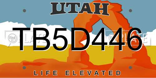 TB5D446 Utah License Plate