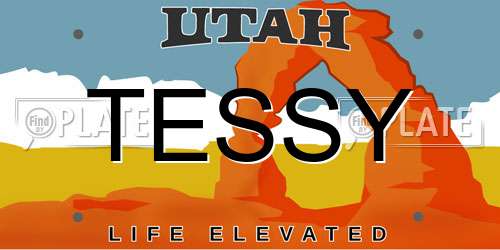 TESSY Utah License Plate