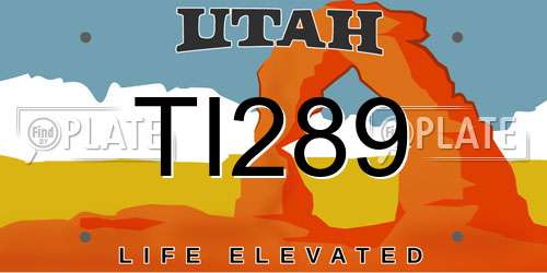 TI289 Utah License Plate