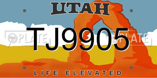 TJ9905 Utah License Plate