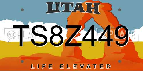 TS8Z449 Utah License Plate