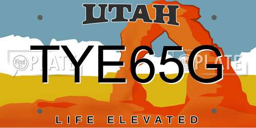 TYE65G Utah License Plate