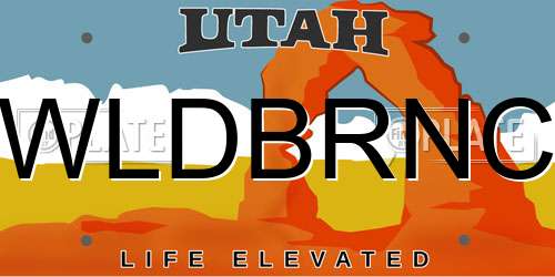 WLDBRNC Utah License Plate