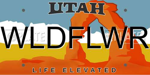 WLDFLWR Utah License Plate