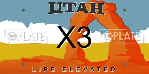 X3 Utah License Plate