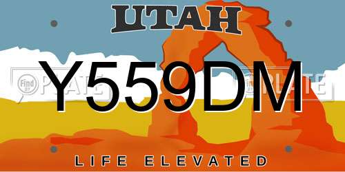 Y559DM Utah License Plate