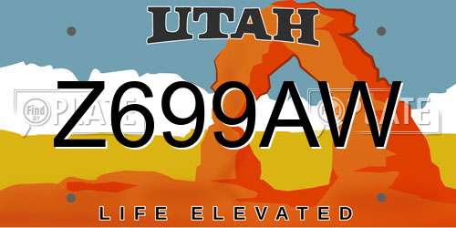 Z699AW Utah License Plate