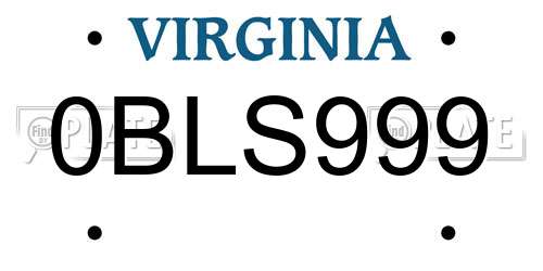 0BLS999 Virginia License Plate
