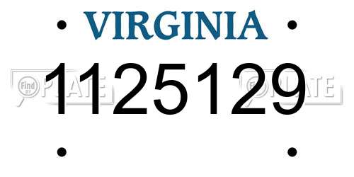 1125129 Virginia License Plate