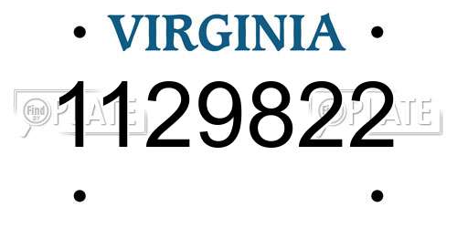1129822 Virginia License Plate
