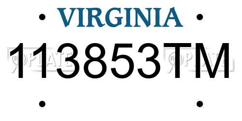 113853TM Virginia License Plate