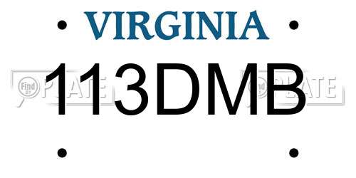 113DMB Virginia License Plate