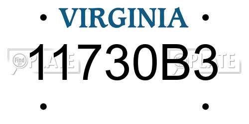 11730B3 Virginia License Plate