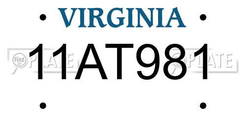 11AT981 Virginia License Plate