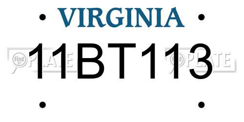 11BT113 Virginia License Plate