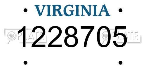 1228705 Virginia License Plate