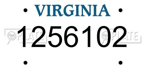 1256102 Virginia License Plate